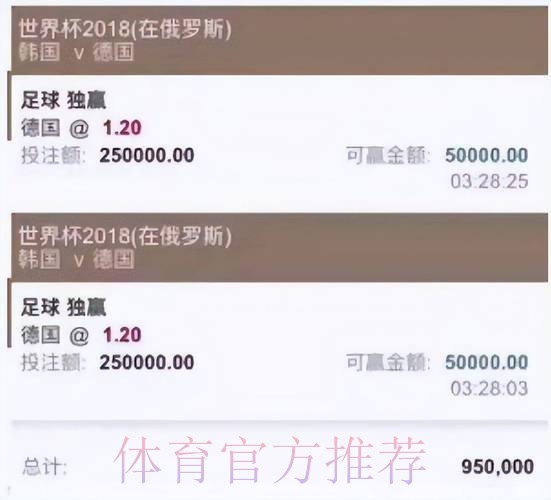 如何选择最佳的世界杯投注平台？”